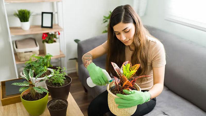 فواید نگهداری از گیاهان در منزل